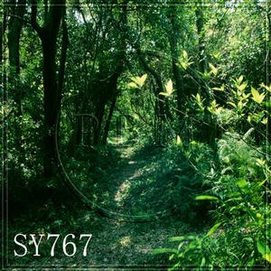 8'x8' SY767